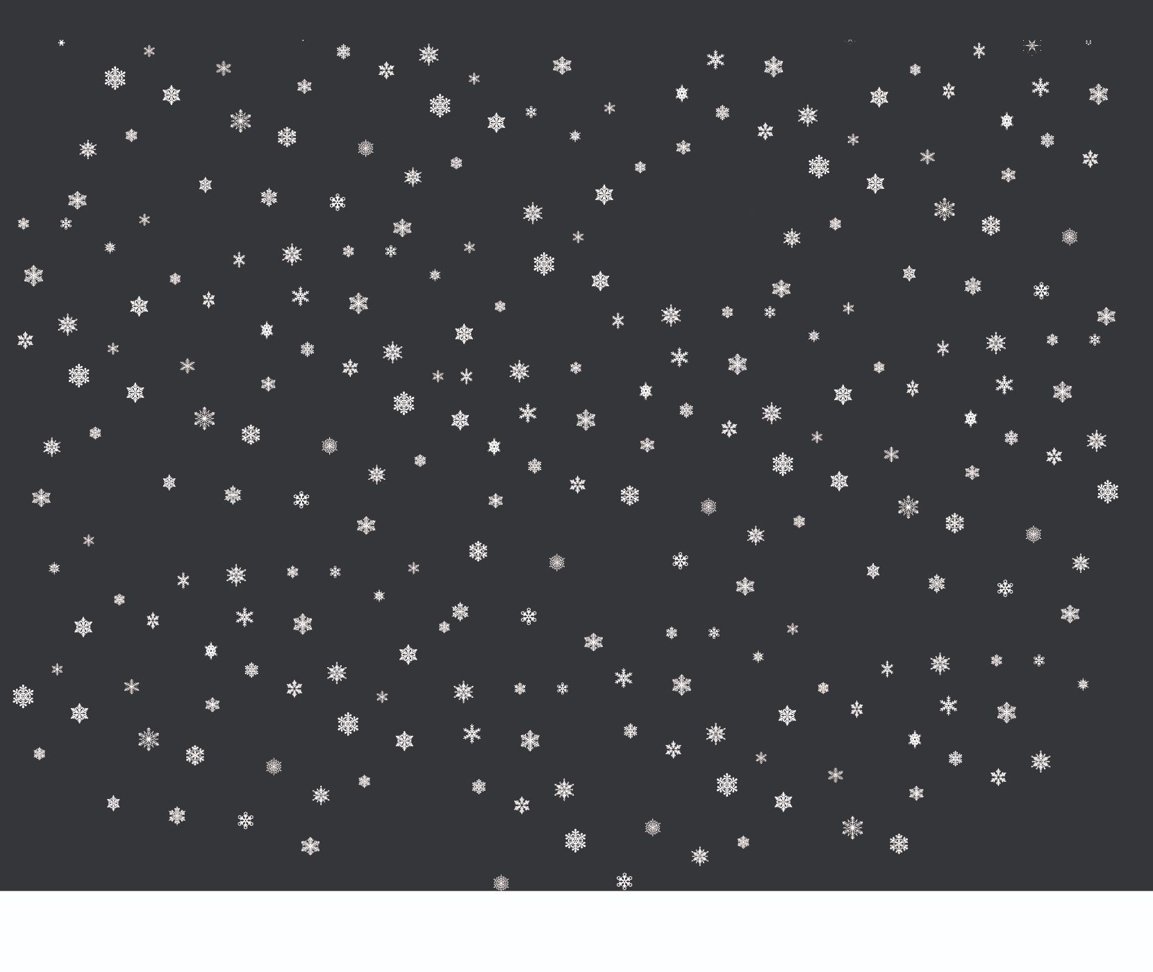 HI RES SNOWFLAKE SEGMENT